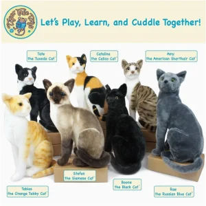 Boone the Black Cat | 13 Inch Stuffed Animal Plush