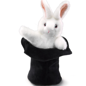 Rabbit in Hat
