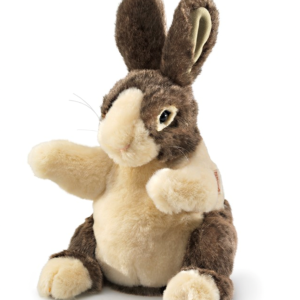 Rabbit, Baby Dutch
