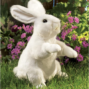 Rabbit, Standing White