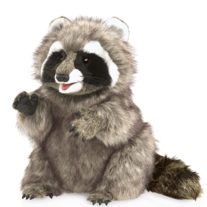 Raccoon