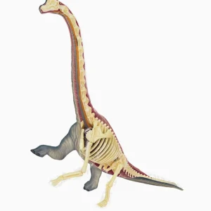 4D Brachiosaurus Vision Model