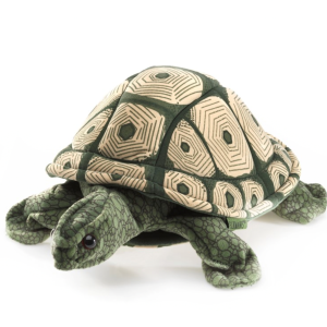 Tortoise