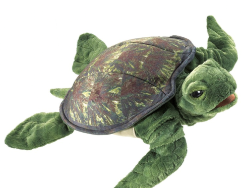 Turtle, Sea