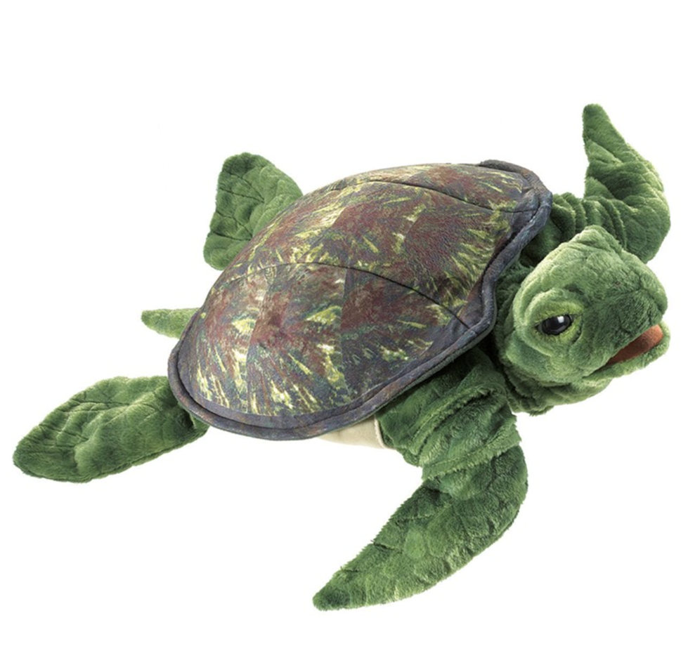 Turtle, Sea