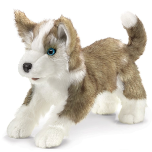 Wolf Pup