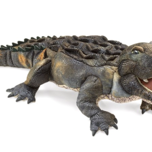 Alligator, American