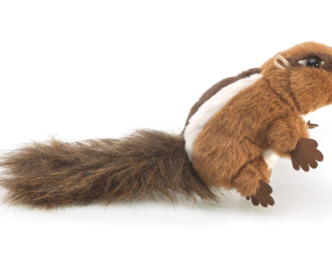 Mini Chipmunk