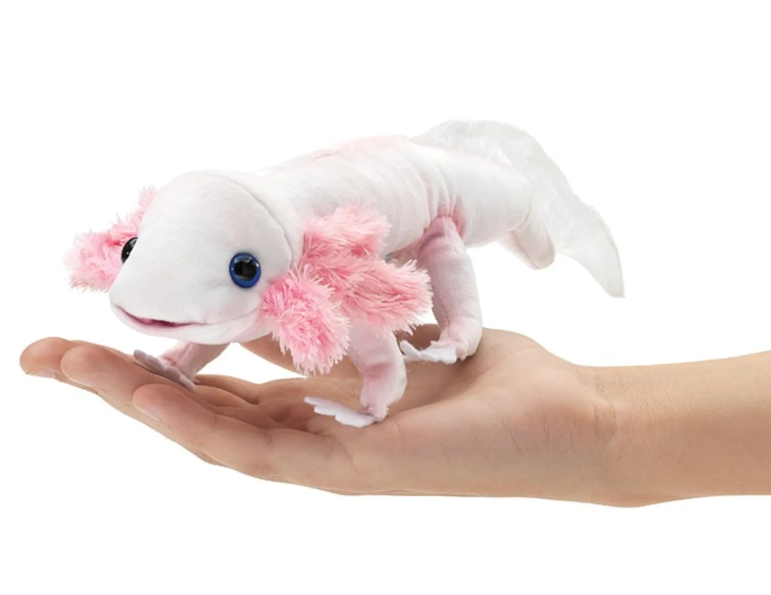 Axolotl