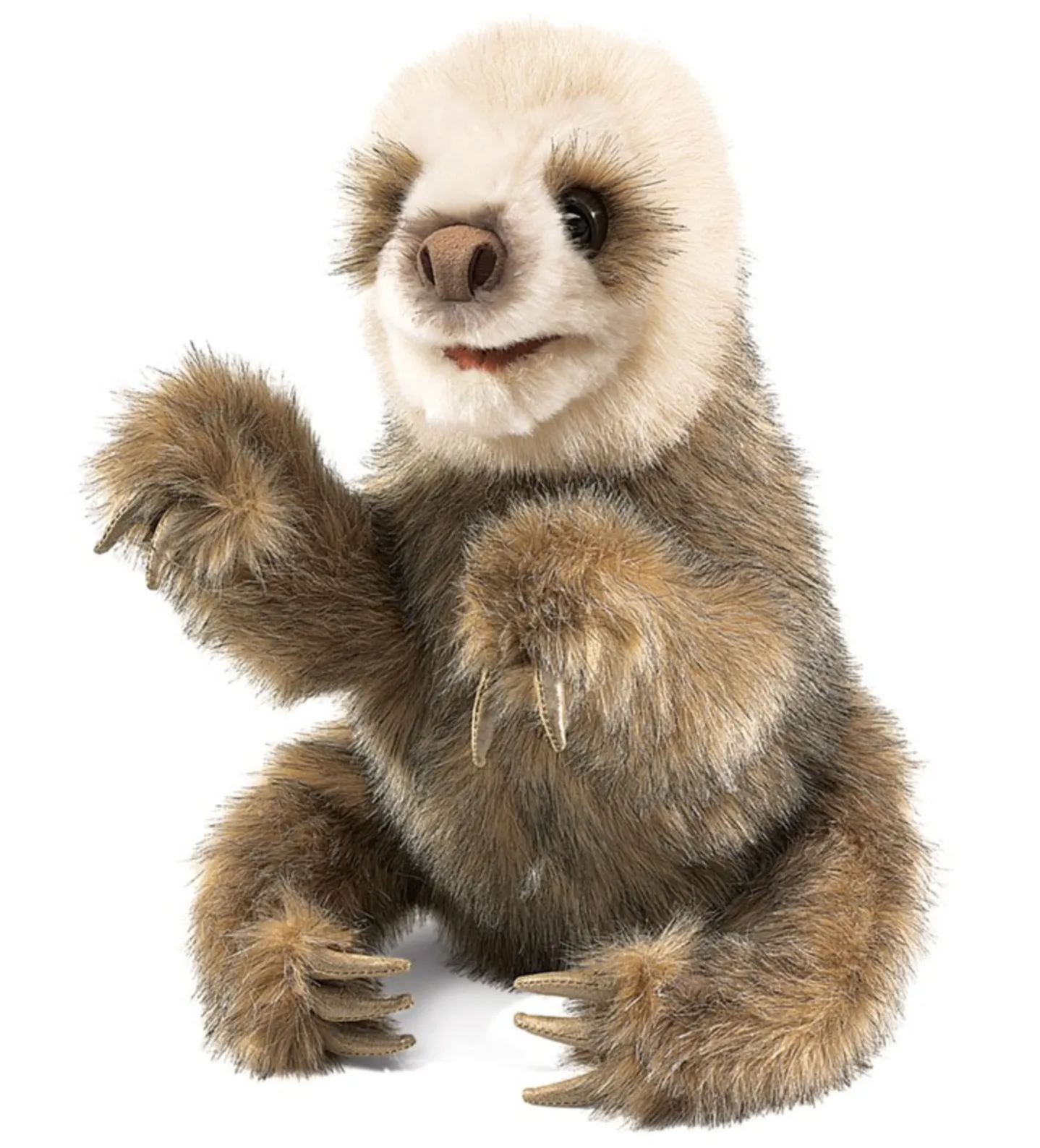 Sloth, Baby