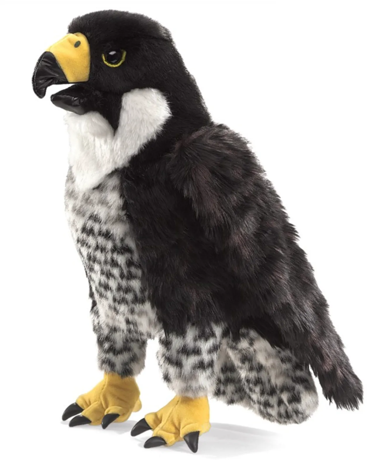 Falcon, Peregrine
