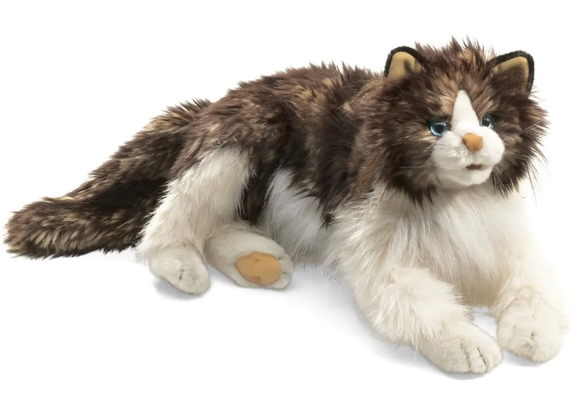 Cat, Ragdoll Puppet